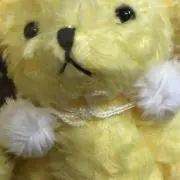 bearの画像