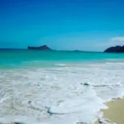 みいこの画像
