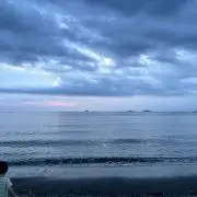 ちまの画像