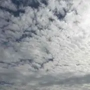 チロル
