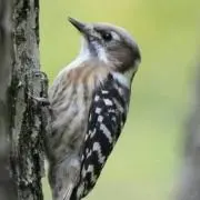 J/即購入◎値下げは依頼からお願いしますの画像