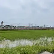 Mosの画像