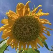 msの画像
