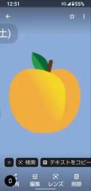 あんずの画像