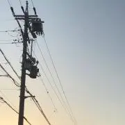 ねこやんの画像