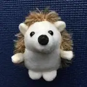 ざきあの画像