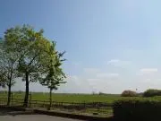 チハ 即購入OKの画像