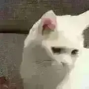 チロリアンテープ‎☺︎‎の画像