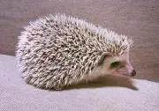 min  プロフィール見てくださいの画像