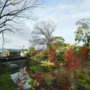 ikiの画像