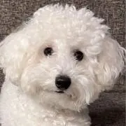 ふみの画像