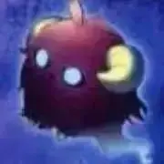 ゆきの画像
