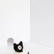 s__a17の画像
