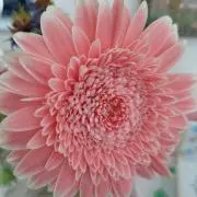 sora-iro.*˚の画像