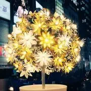 こぴの画像