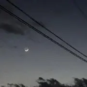 笹倉の画像