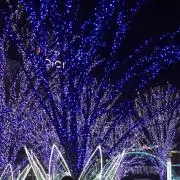 こっちん❤︎(◍ ´꒳` ◍)b