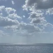MIZAの画像