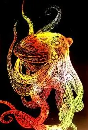 林檎の画像