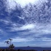 umiの画像