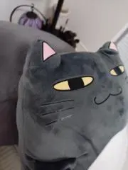ねむい猫の画像