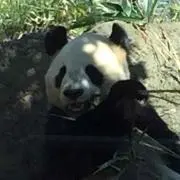 いのうえ