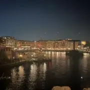 たけしの画像
