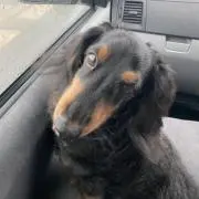 ひろちゃん