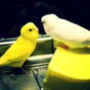 まあくん