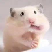 きなこの画像