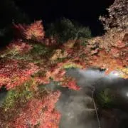 mikeyの画像