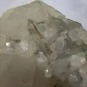 さみすたあの画像