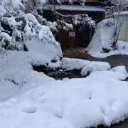 nahatoの画像