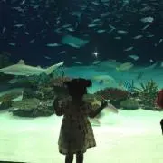 にな