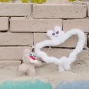 ©︎の画像