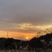 みちの画像