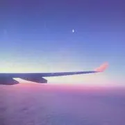 Merciの画像
