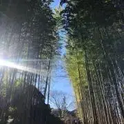ハル