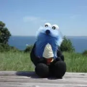 ゆきちの画像
