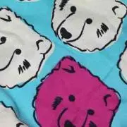 紫知里※プロフ必読