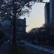 ponponzuの画像