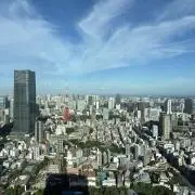 Cocoの画像