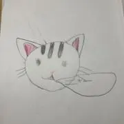 PONTAROの画像