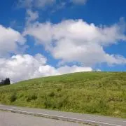 ⭐️ももりん⭐️の画像