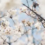 LLLeenの画像