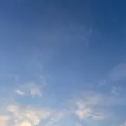 oto*の画像
