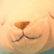 めーどんの画像