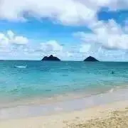 ひーさんの画像