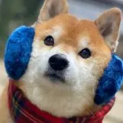 ナッツの画像