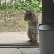 べえの画像